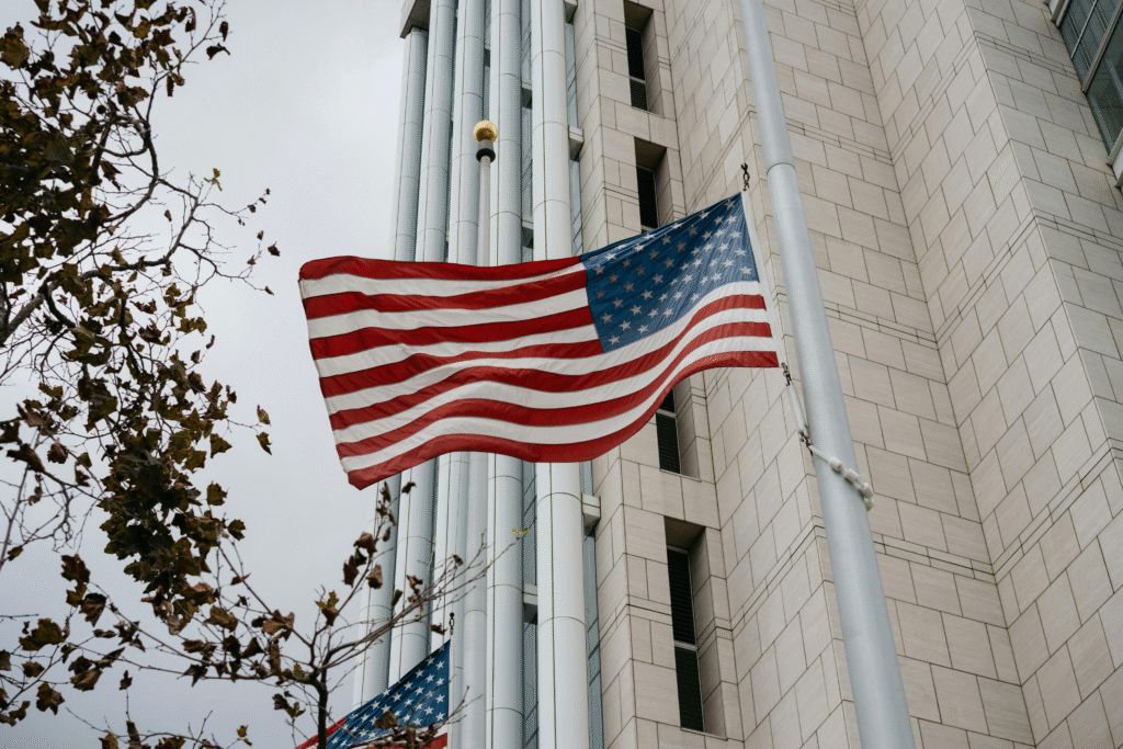 How Do Governments Influence Markets?